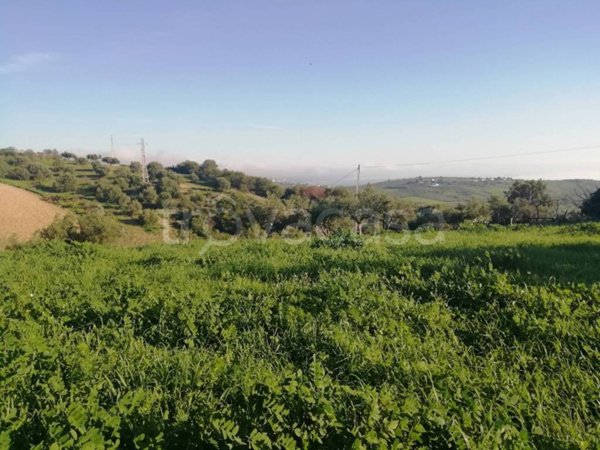 terreno agricolo in vendita a Sciacca