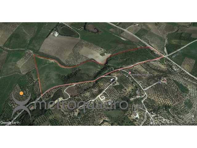 terreno agricolo in vendita a Sciacca