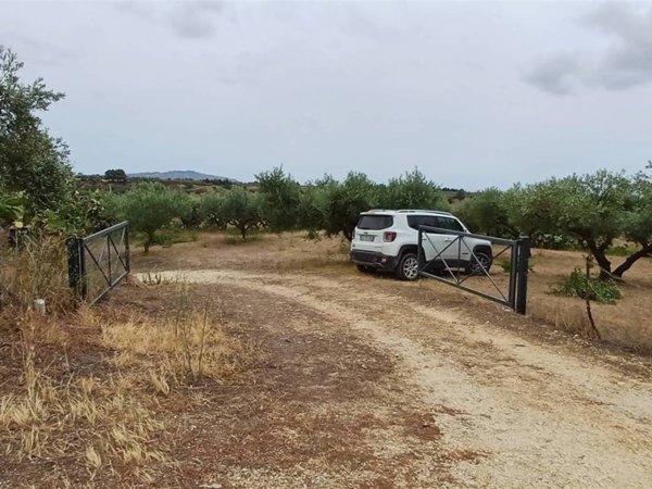 terreno agricolo in vendita a Sciacca