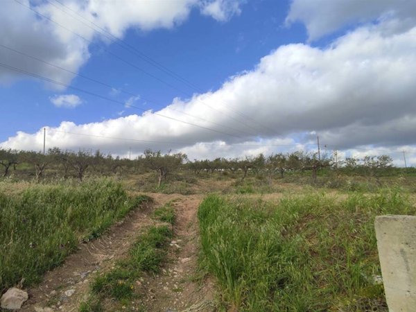 terreno agricolo in vendita a Sciacca