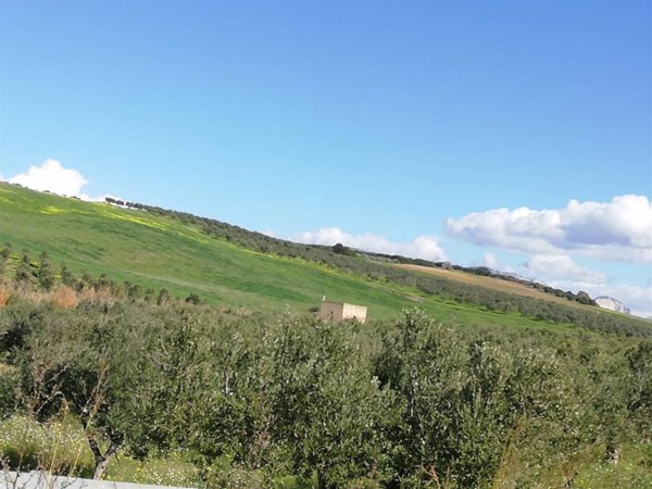 terreno agricolo in vendita a Sciacca
