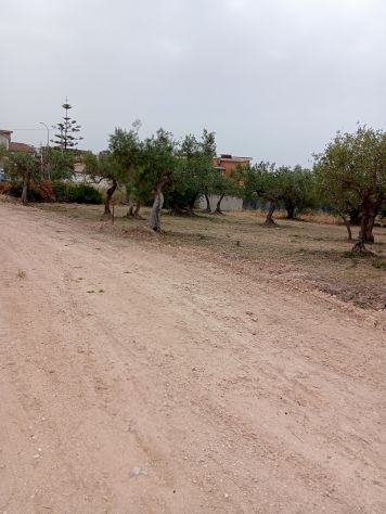terreno agricolo in vendita a Sciacca