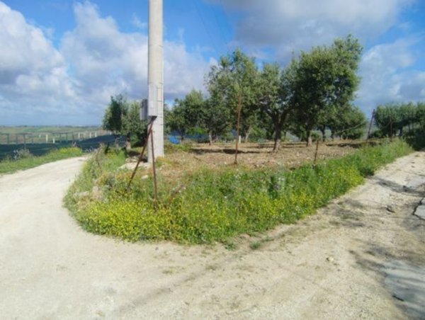 terreno agricolo in vendita a Sciacca