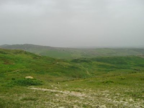 terreno agricolo in vendita a Sciacca