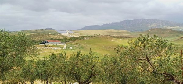 terreno agricolo in vendita a Sciacca