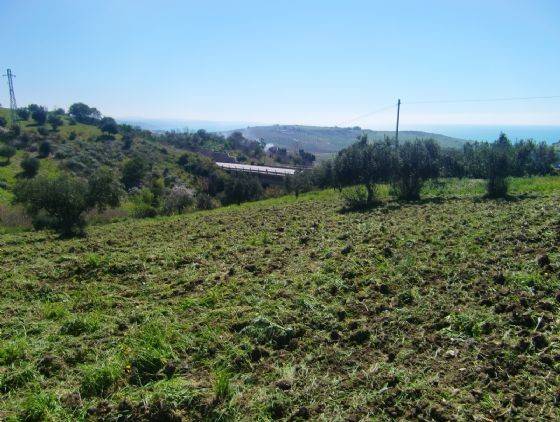 terreno agricolo in vendita a Sciacca