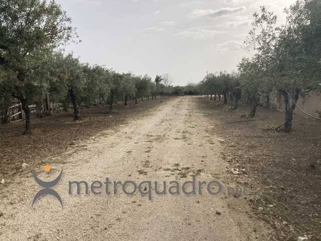 terreno agricolo in vendita a Sciacca in zona Centro Città