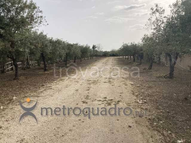 casa indipendente in vendita a Sciacca in zona Centro Città