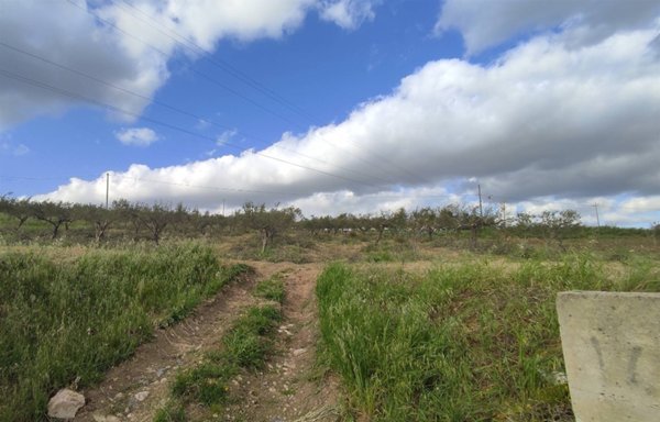 terreno agricolo in vendita a Sciacca