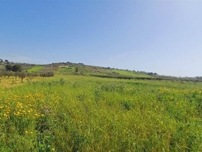 terreno agricolo in vendita a Sciacca in zona Maragani