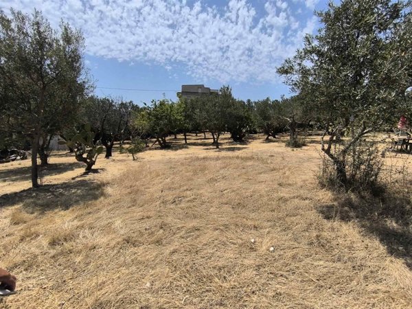 terreno agricolo in vendita a Sciacca in zona Perriera