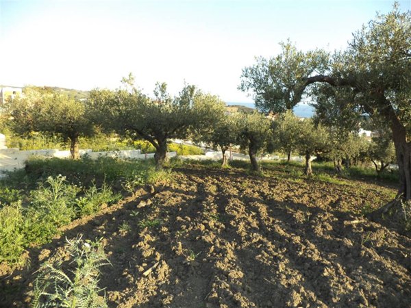 casa indipendente in vendita a Sciacca