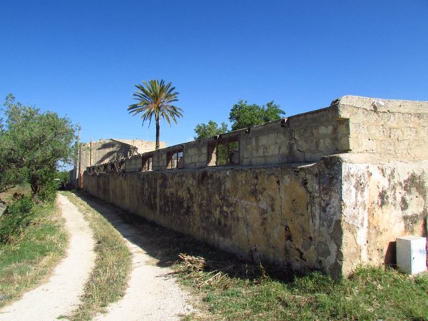 immagine annuncio 0 di 15