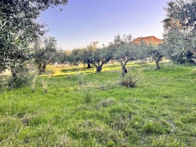 casa indipendente in vendita a Sciacca in zona Centro Città