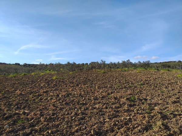 terreno agricolo in vendita a Sciacca