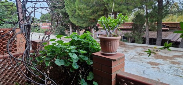 appartamento in vendita a Sciacca