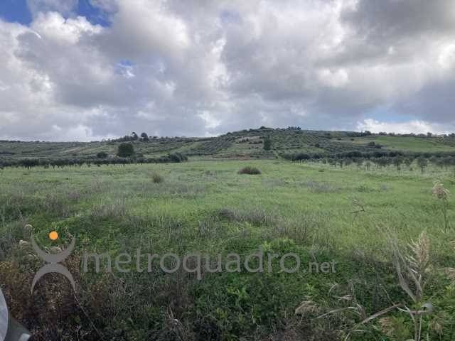 terreno agricolo in vendita a Sciacca in zona Maragani