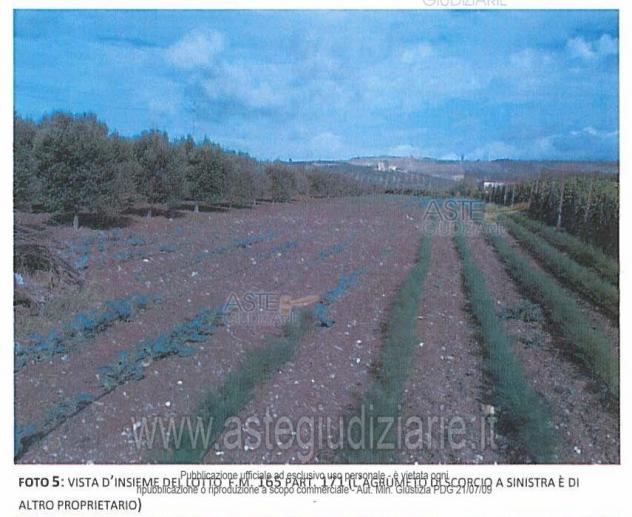 terreno agricolo in vendita a Sciacca