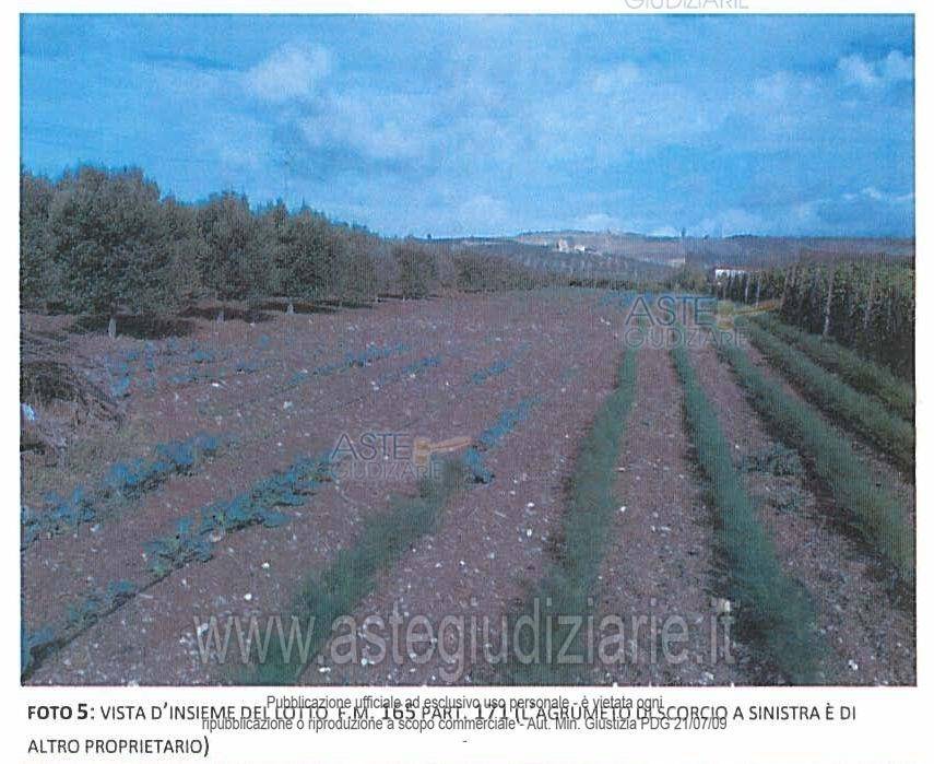 terreno agricolo in vendita a Sciacca