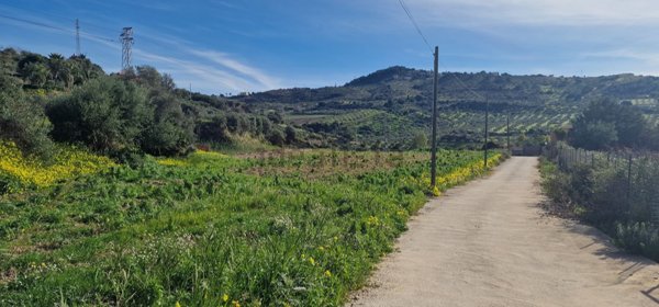 terreno agricolo in vendita a Sciacca