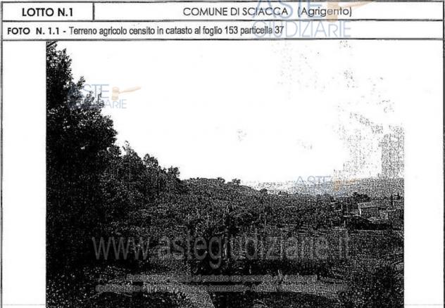 terreno agricolo in vendita a Sciacca in zona San Giorgio/Torre Verdura