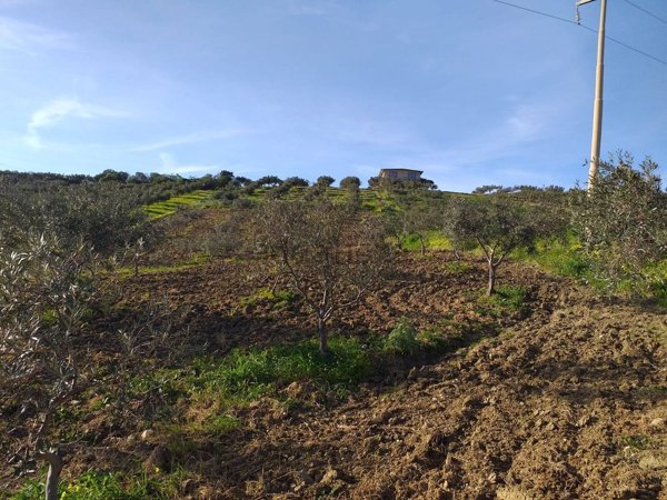 terreno agricolo in vendita a Sciacca