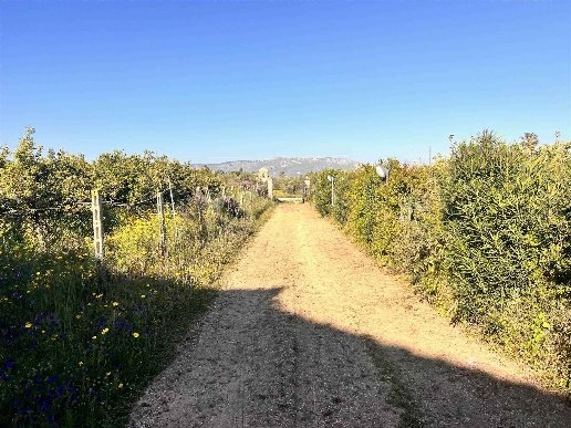 casa indipendente in vendita a Sciacca in zona Centro Città