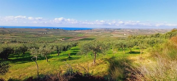 terreno agricolo in vendita a Sciacca