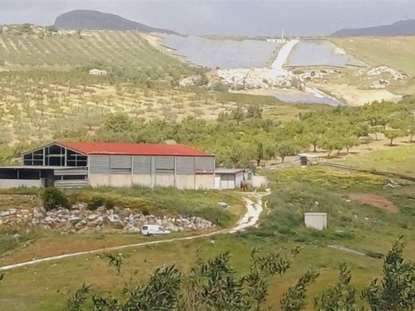 terreno agricolo in vendita a Sciacca