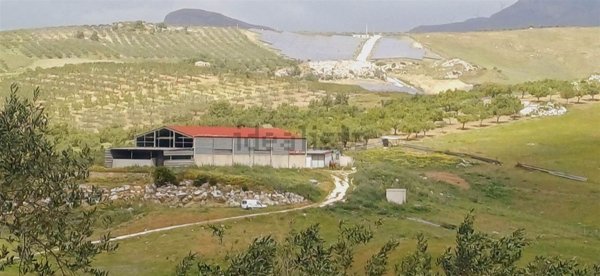 terreno agricolo in vendita a Sciacca