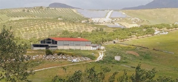 terreno agricolo in vendita a Sciacca
