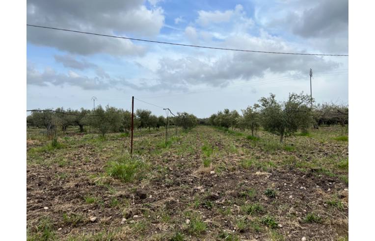 casa indipendente in vendita a Sciacca
