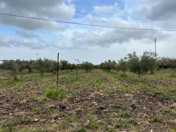 casa indipendente in vendita a Sciacca