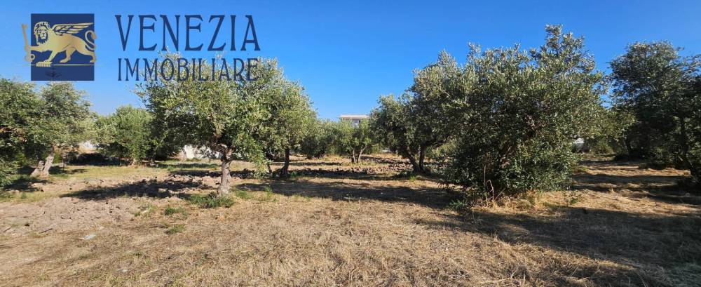 terreno edificabile in vendita a Sciacca in zona San Calogero