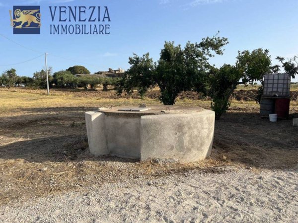 immagine annuncio 0 di 13