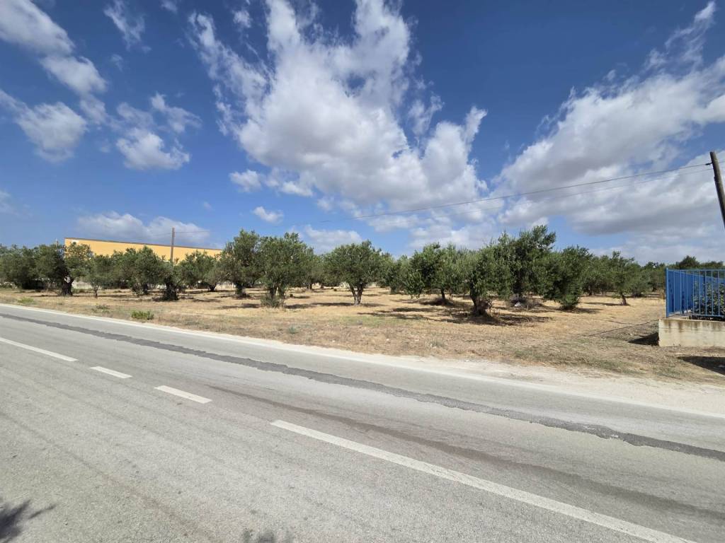 terreno agricolo in vendita a Sciacca in zona San Marco