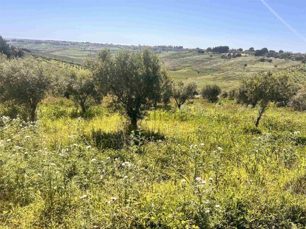 terreno in vendita a Sciacca