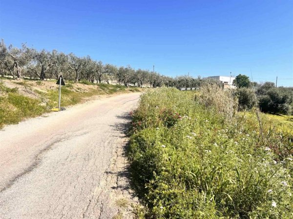terreno in vendita a Sciacca