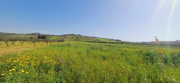 terreno in vendita a Sciacca in zona Maragani