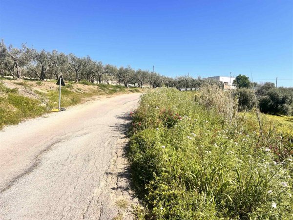 terreno in vendita a Sciacca