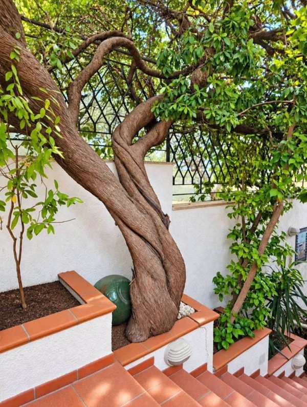 casa indipendente in vendita a Sciacca in zona San Calogero