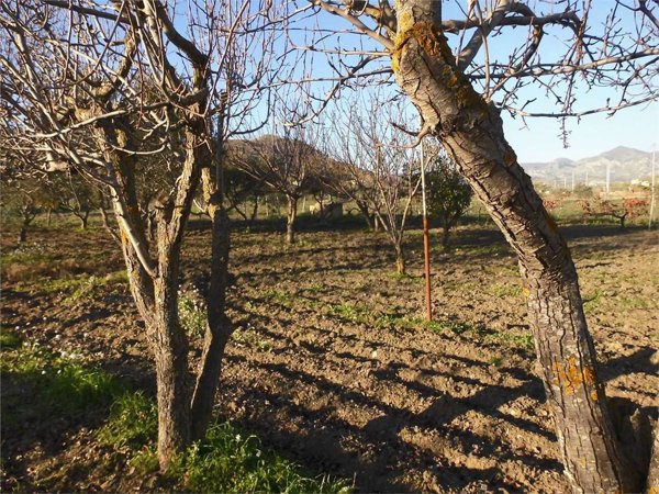 appartamento in vendita a Siculiana