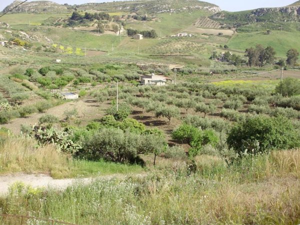 casa indipendente in vendita a Siculiana