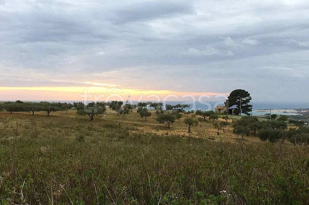 terreno agricolo in vendita a Siculiana