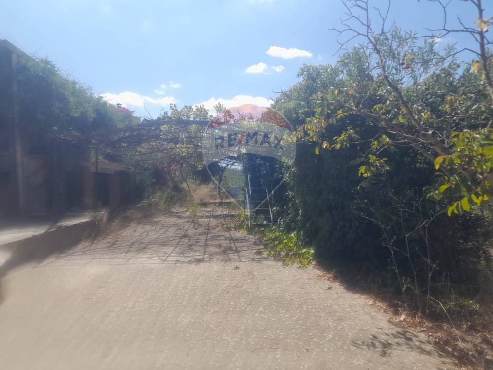 casa indipendente in vendita ad Acquaviva Platani