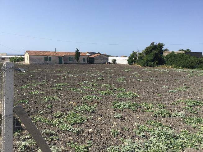 terreno agricolo in vendita a Butera
