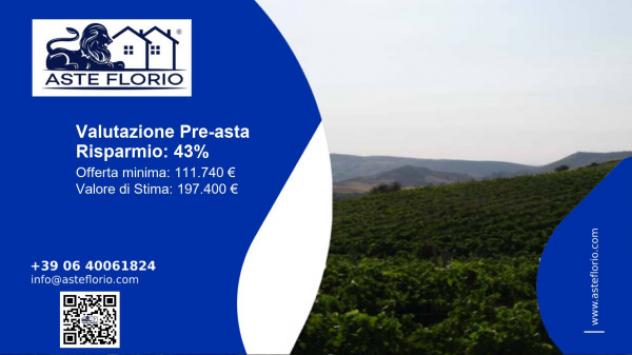 terreno agricolo in vendita a Butera