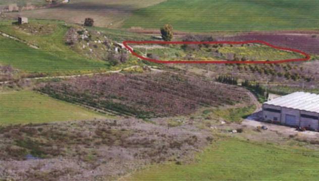 terreno agricolo in vendita a Butera
