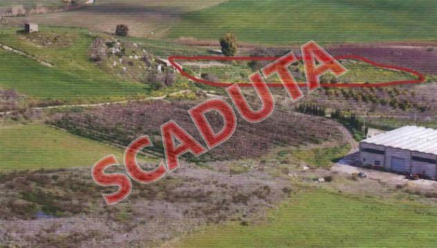 terreno agricolo in vendita a Butera