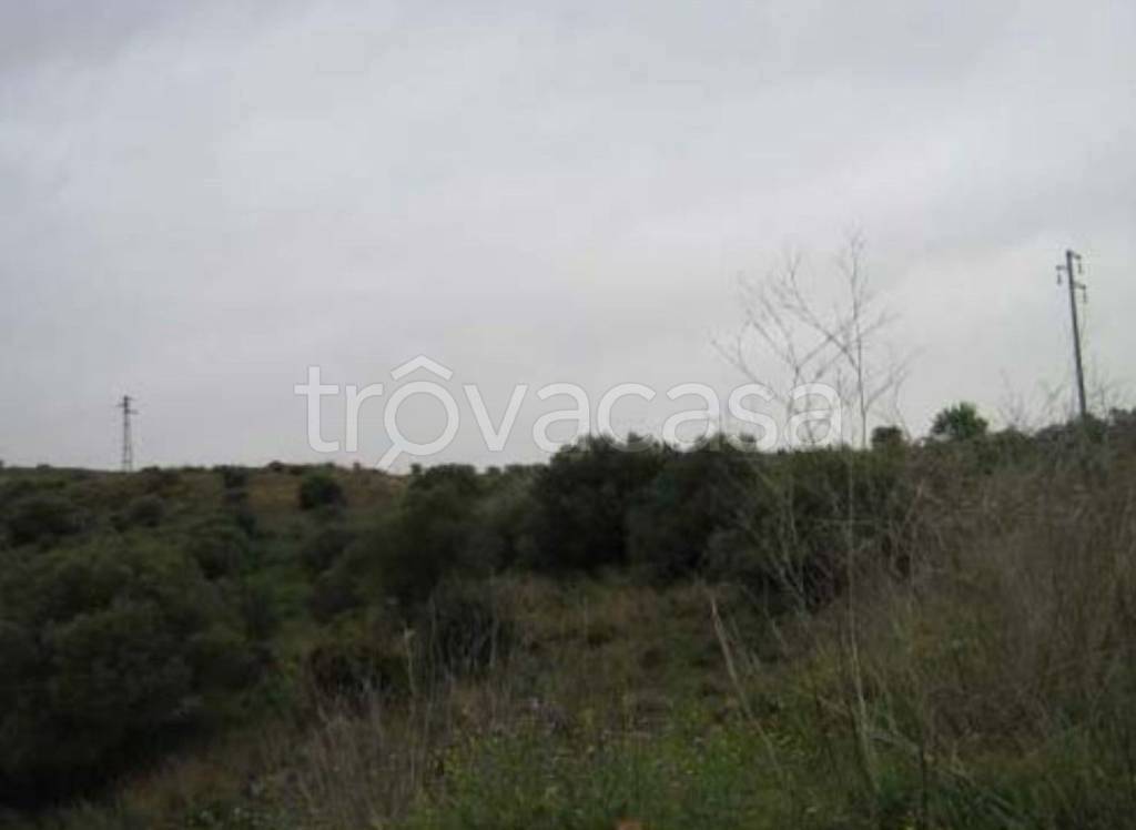 terreno agricolo in vendita a Butera